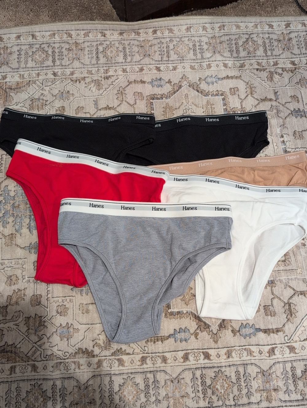 Hanes Women's Bikini 6-Pack in Black, Red, Gray, White & Tan